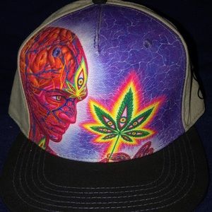 Alex Grey Cannabis Cup L.E. Fitted Hat